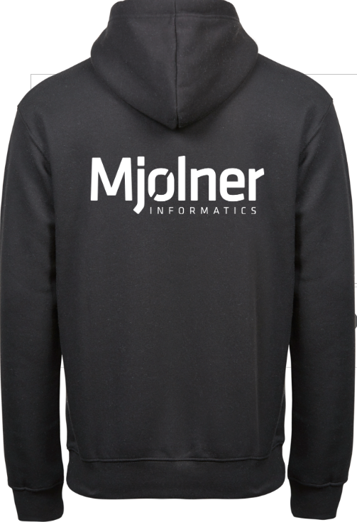 Mjølner Womens Hoodie